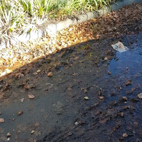 Water Supply — a report photo