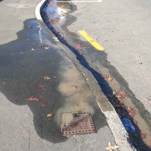 Water Supply, a report photo