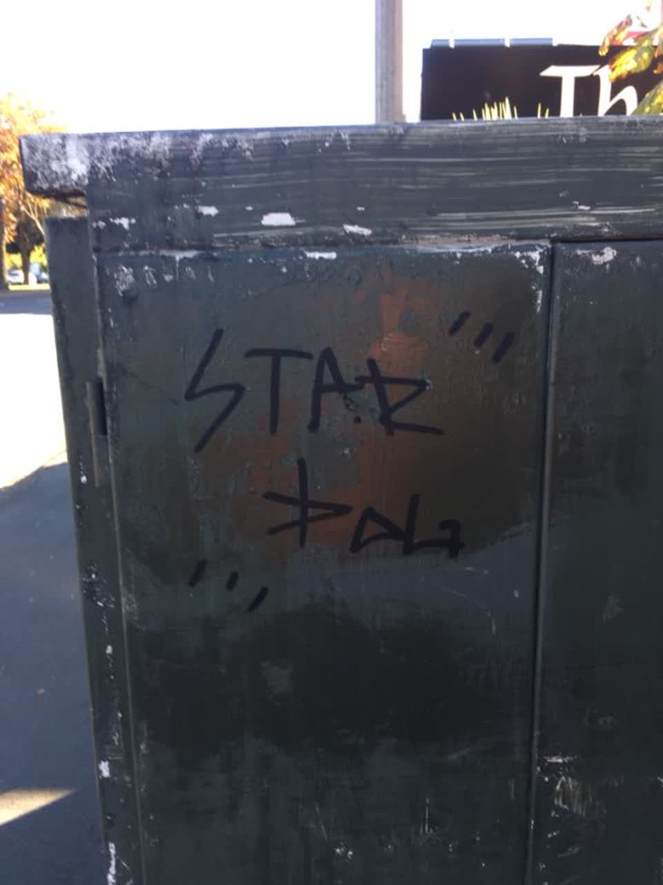 The photograph attached to this graffiti report
