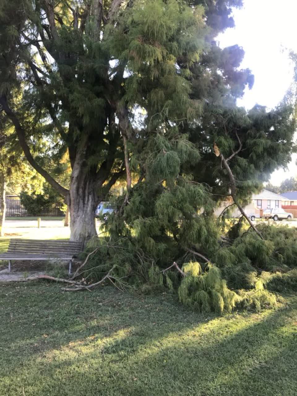 The photograph attached to this parks report