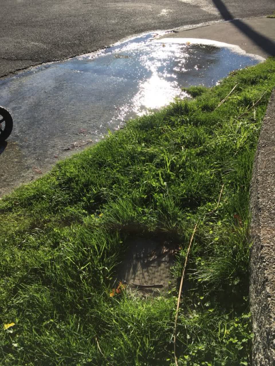 The photograph attached to this water supply report