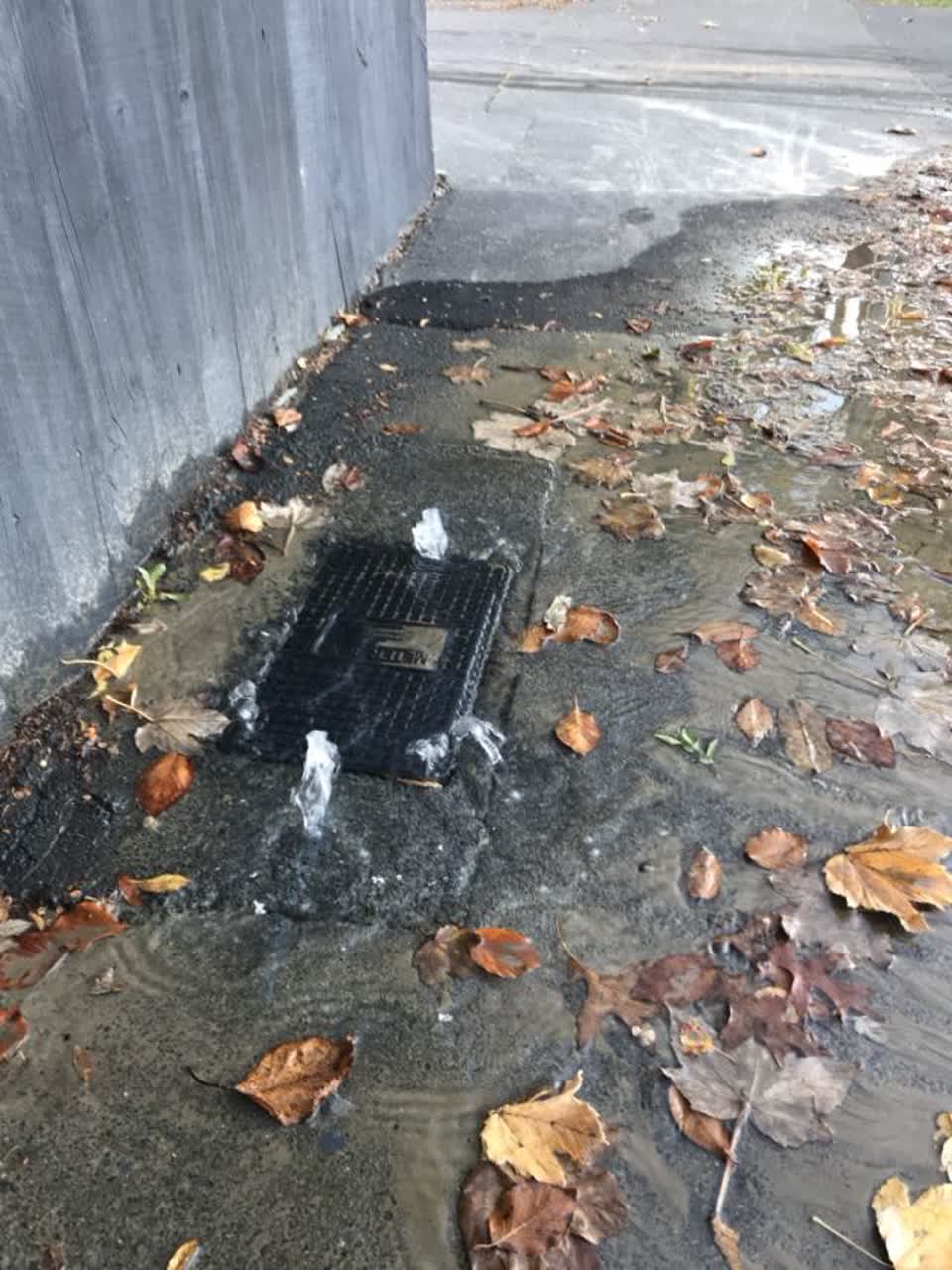 The photograph attached to this water supply report