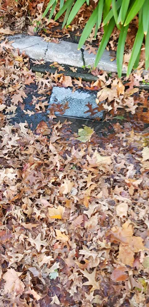 Water Supply, a report photo