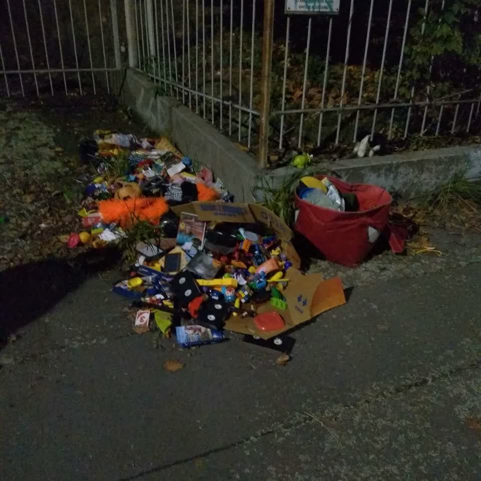 The photograph attached to this rubbish/recycling report