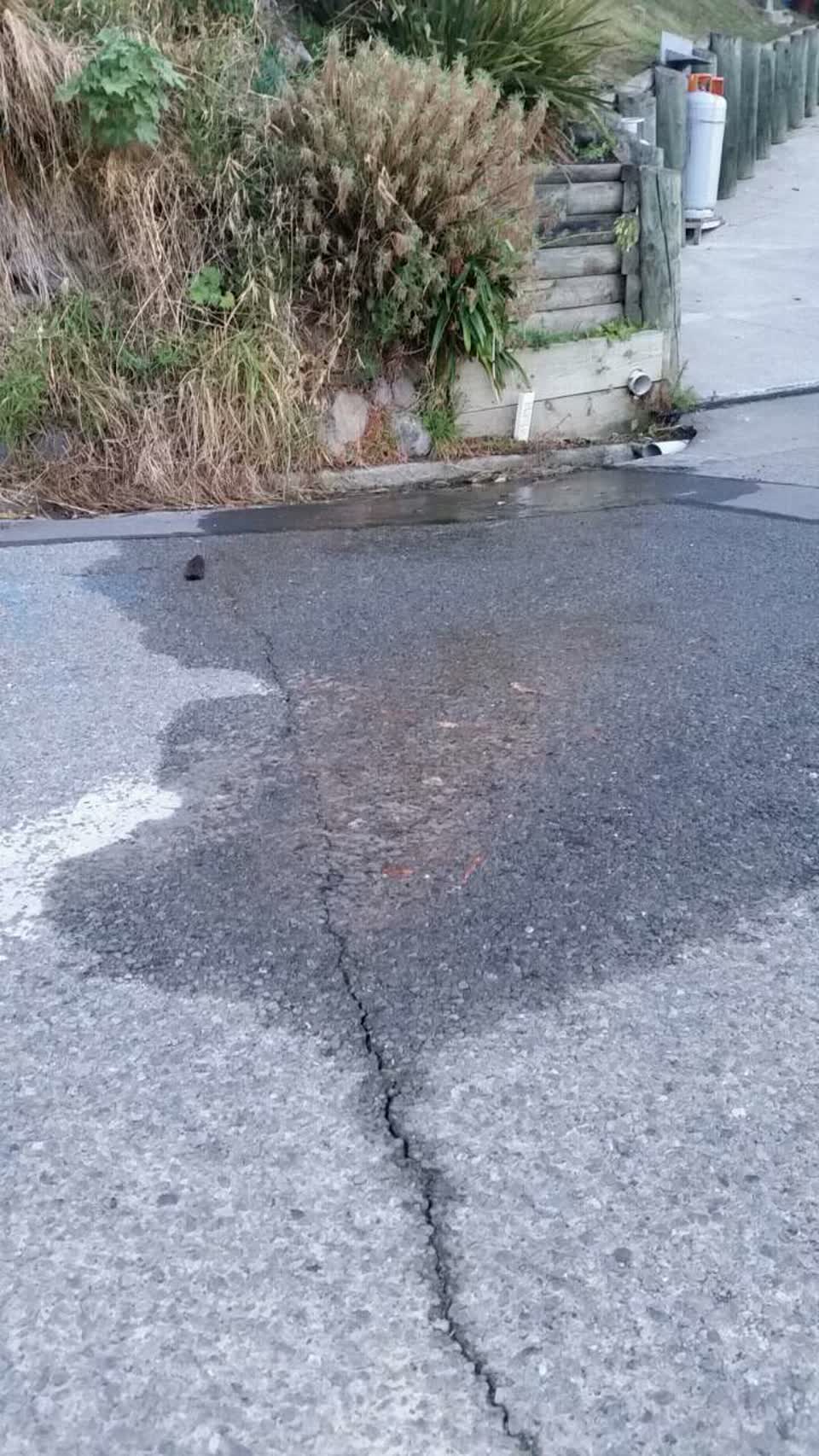 The photograph attached to this water supply report