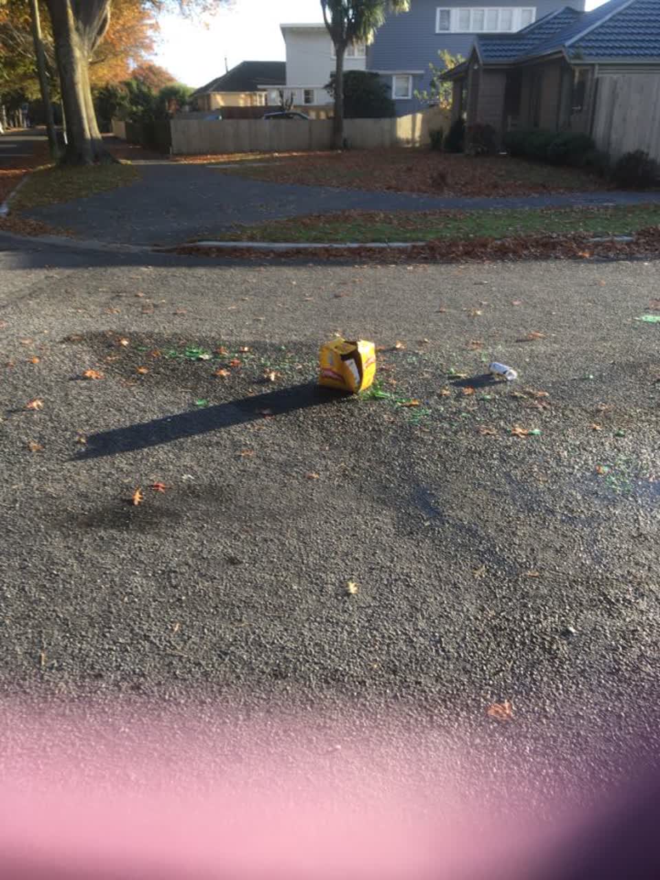 The photograph attached to this roading/streets report