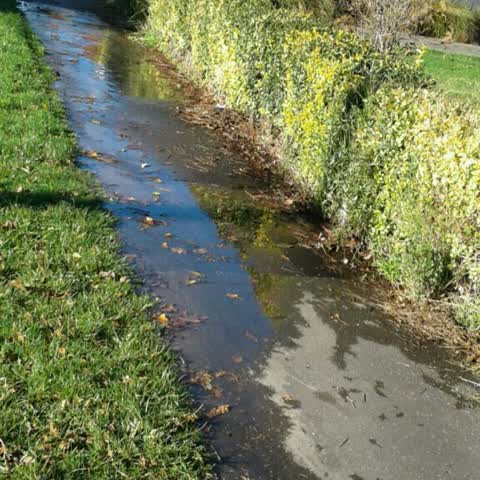 Flooding, a report photo