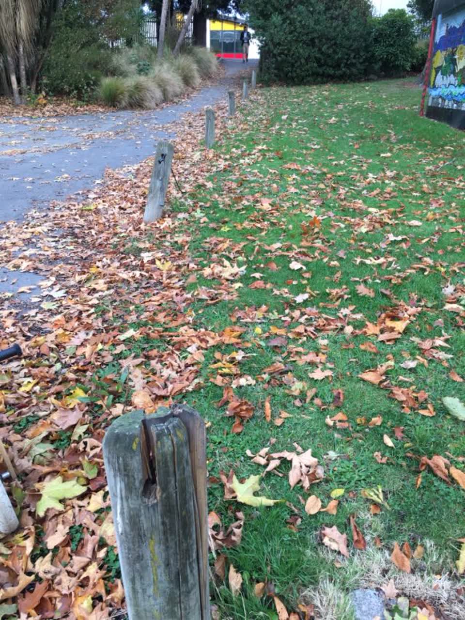 The photograph attached to this parks report