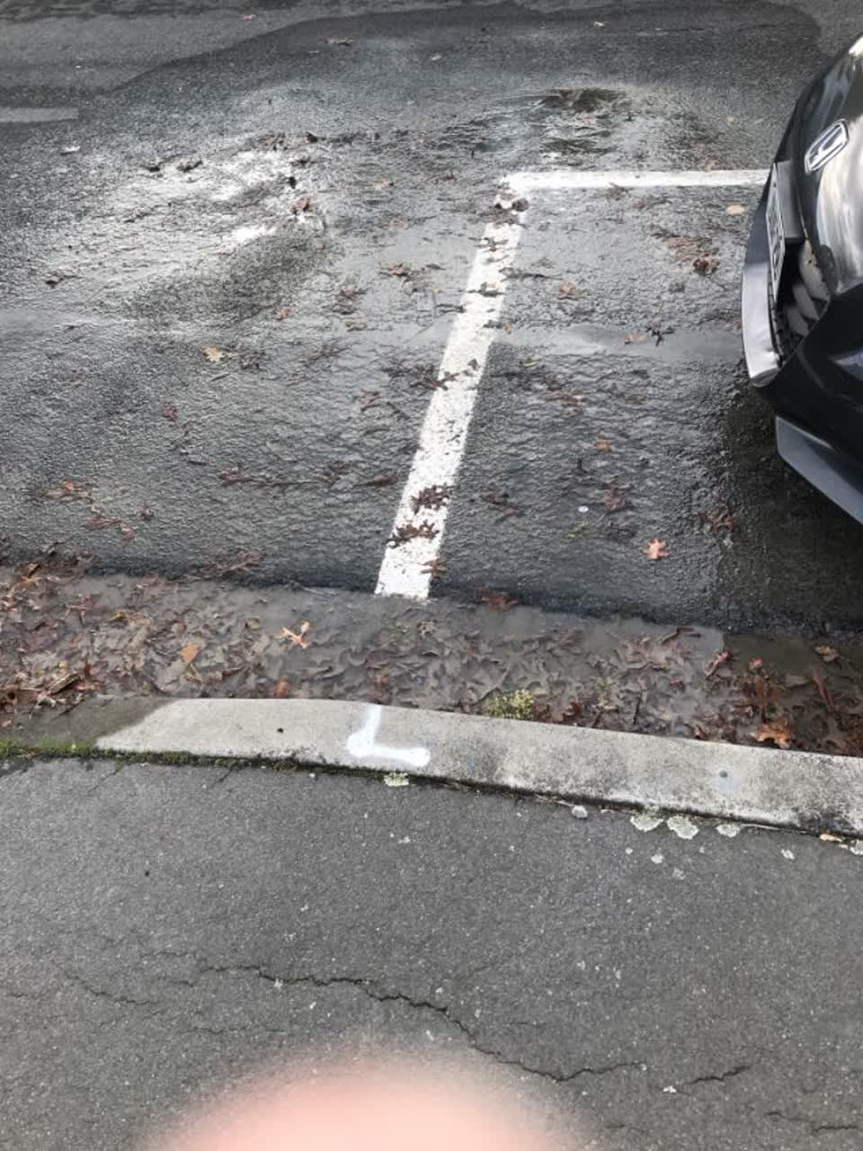 The photograph attached to this wastewater/stormwater report