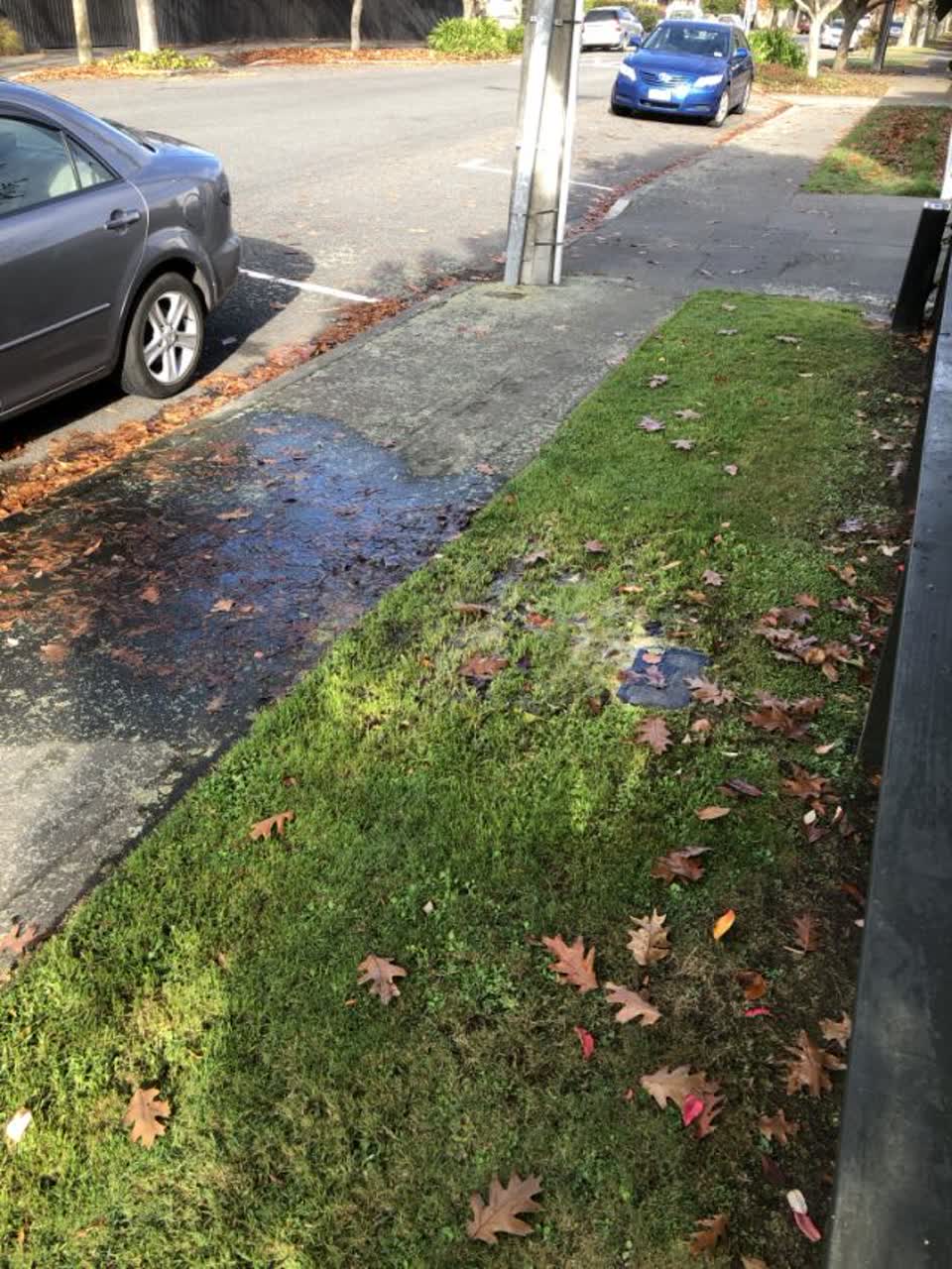 The photograph attached to this water supply report