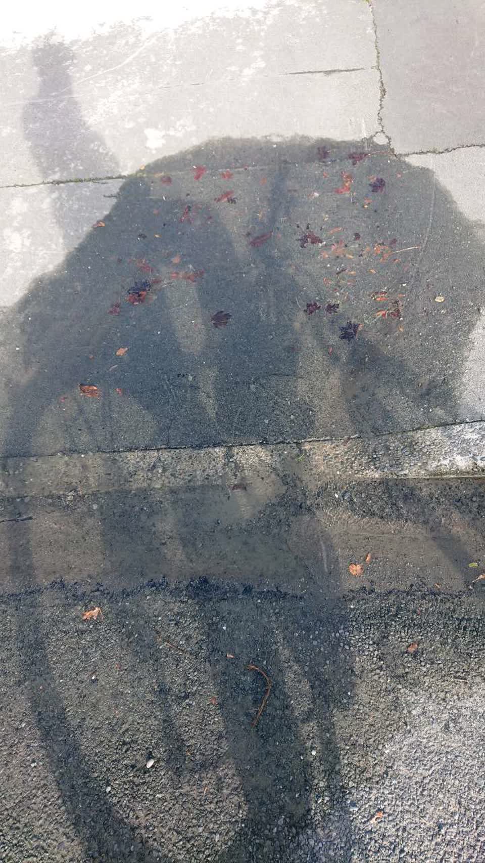 The photograph attached to this water supply report