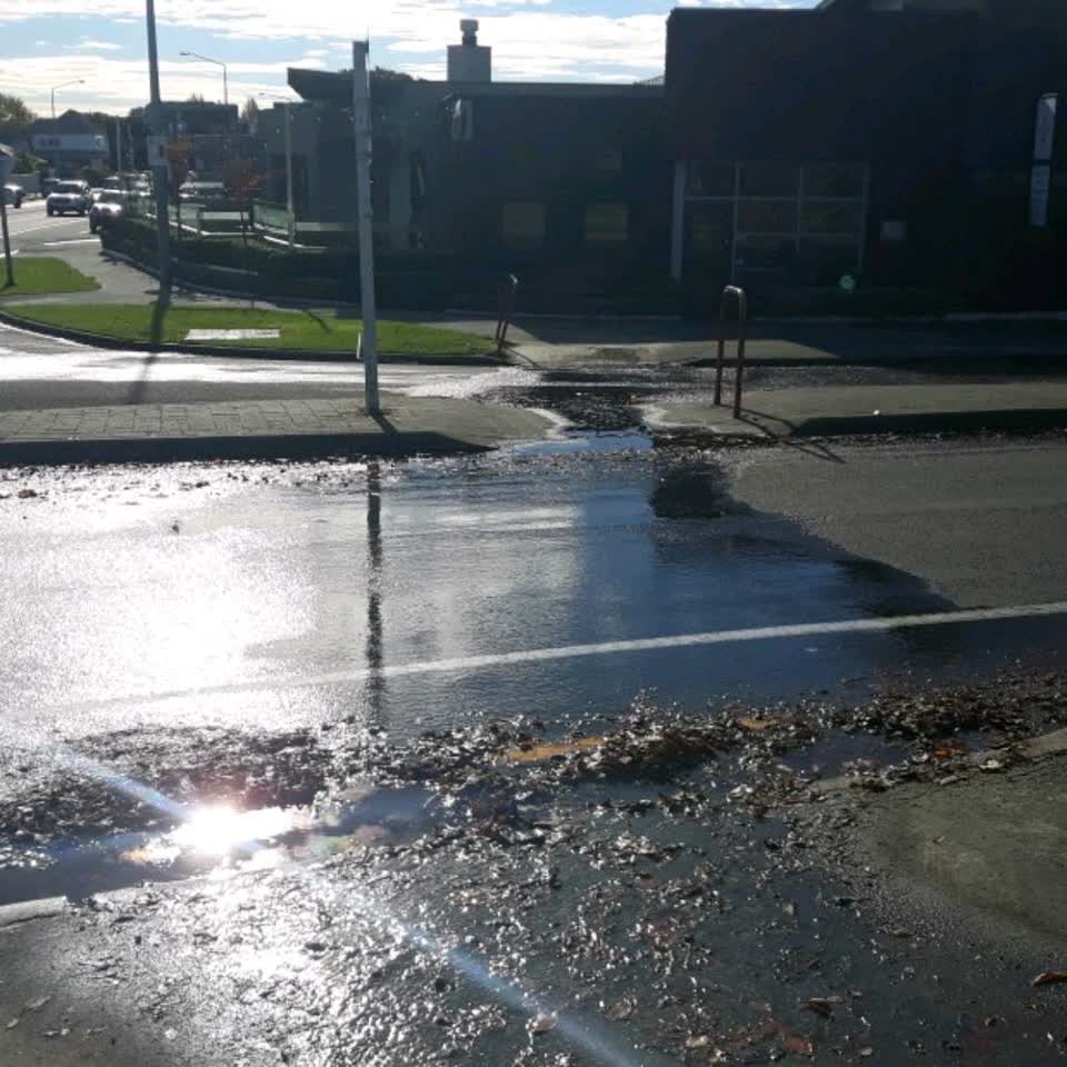 The photograph attached to this water supply report