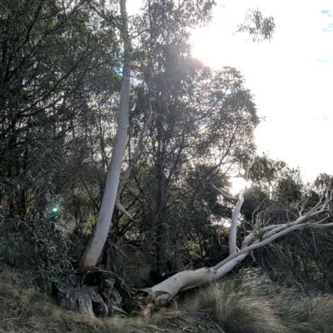 Parks, a report photo