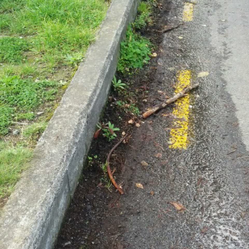 The photograph attached to this wastewater/stormwater report