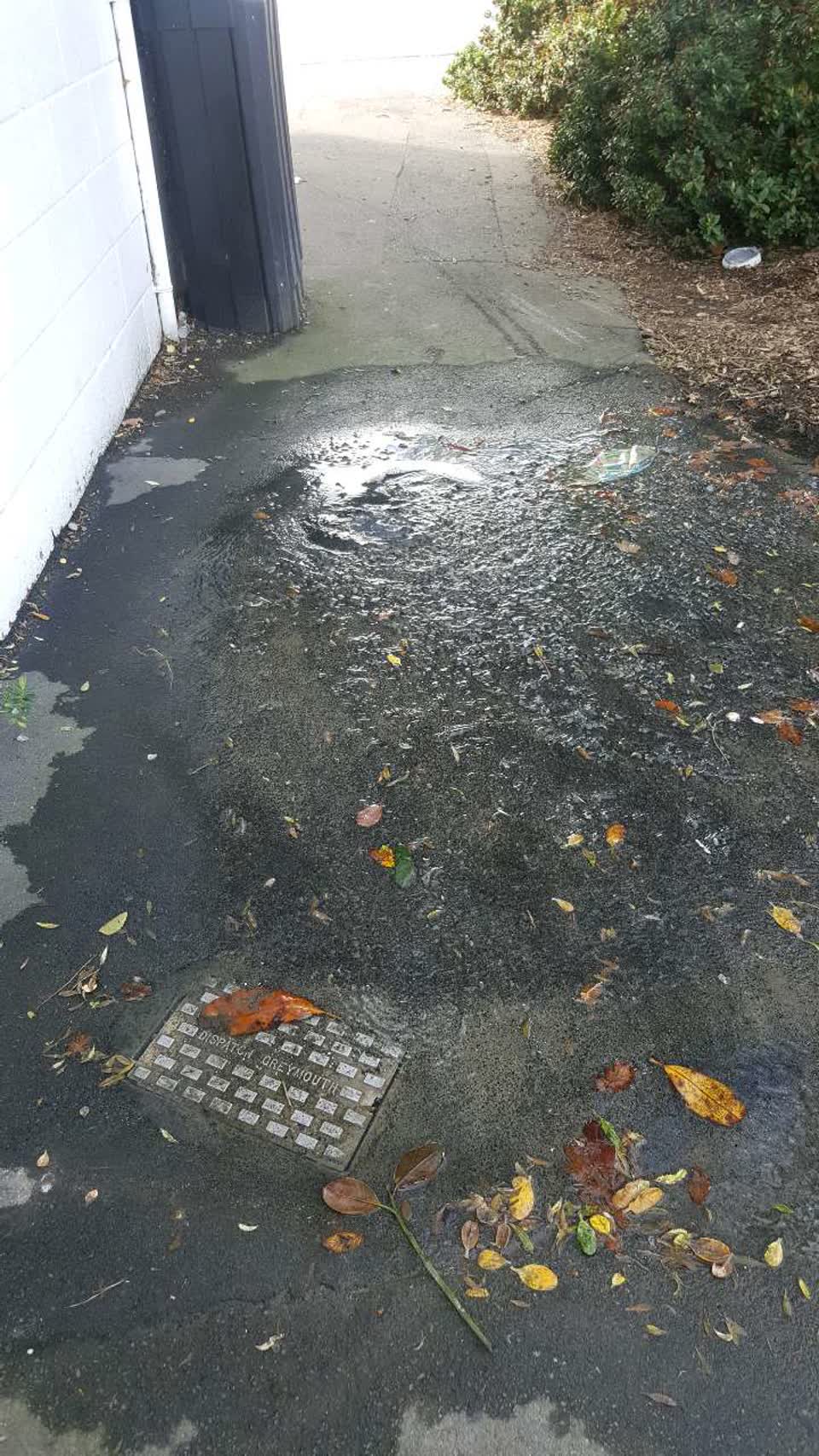 The photograph attached to this water supply report