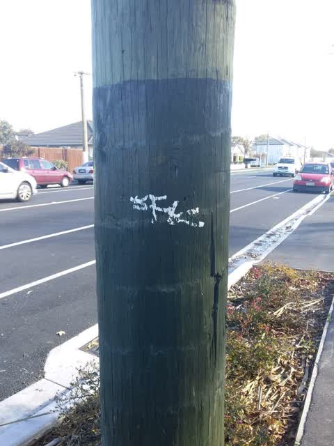 Graffiti, a report photo