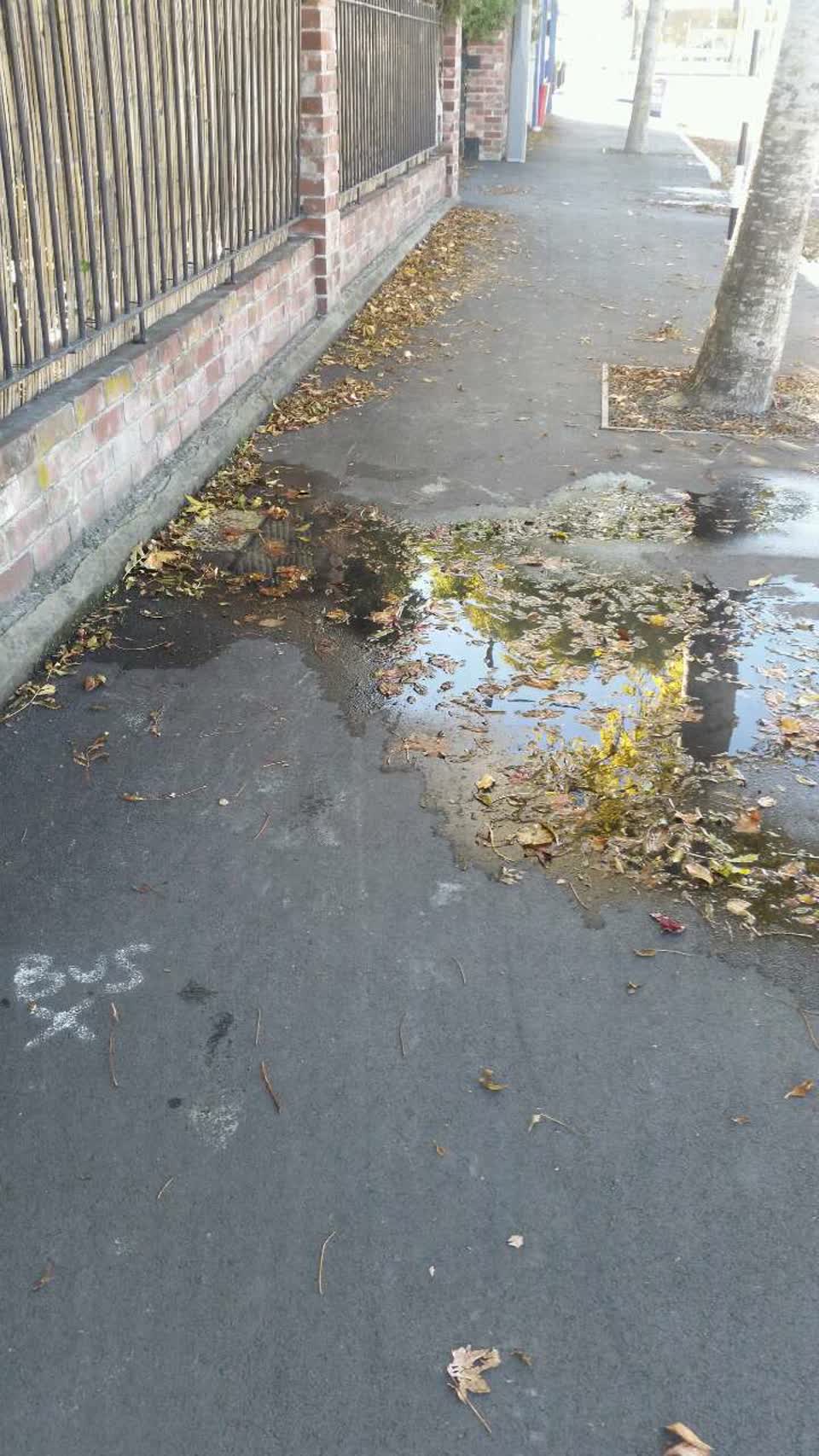 The photograph attached to this water supply report