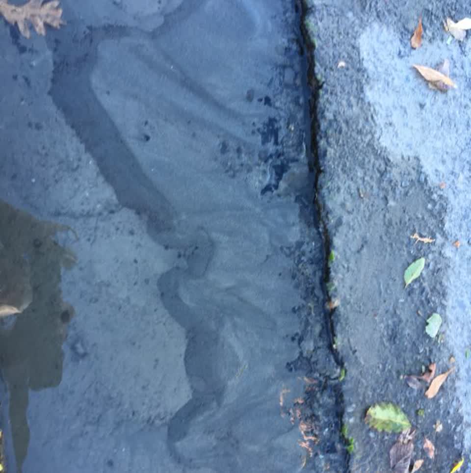 The photograph attached to this flooding report