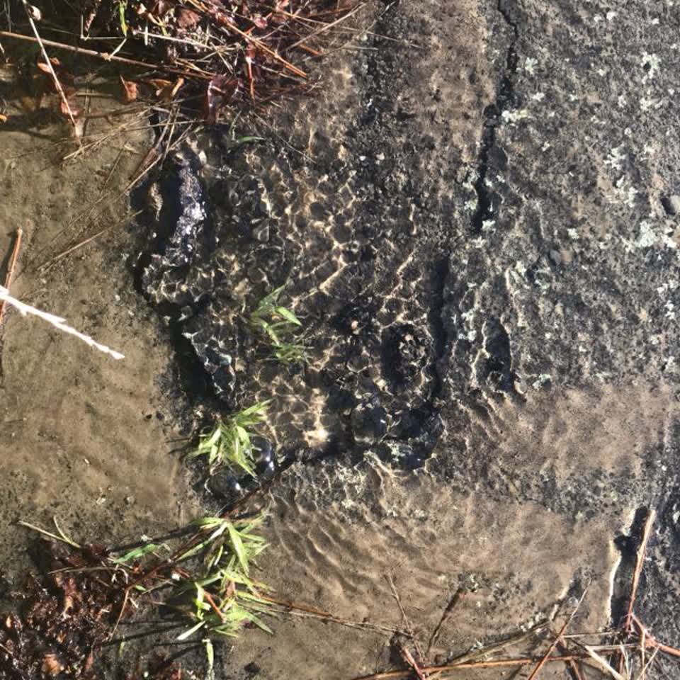 The photograph attached to this wastewater/stormwater report