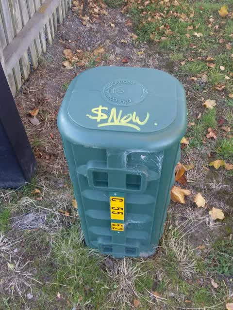 Graffiti, a report photo