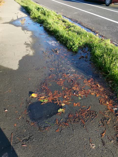 Water Supply, a report photo