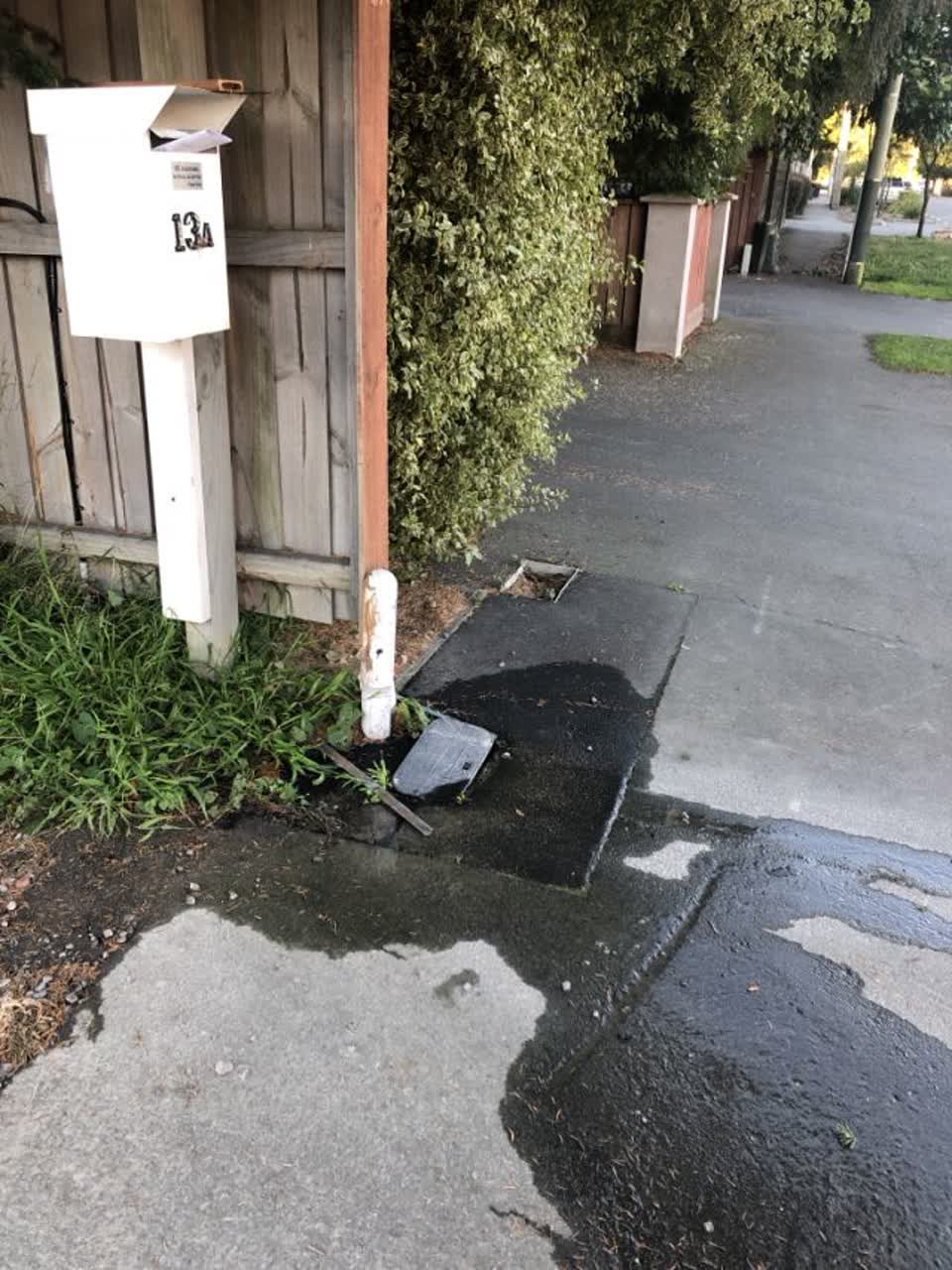 The photograph attached to this water supply report