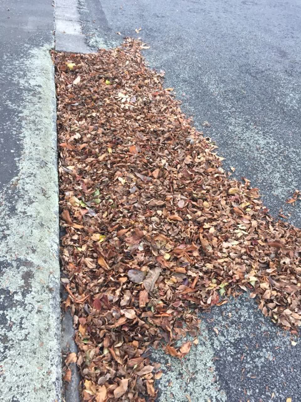 The photograph attached to this wastewater/stormwater report