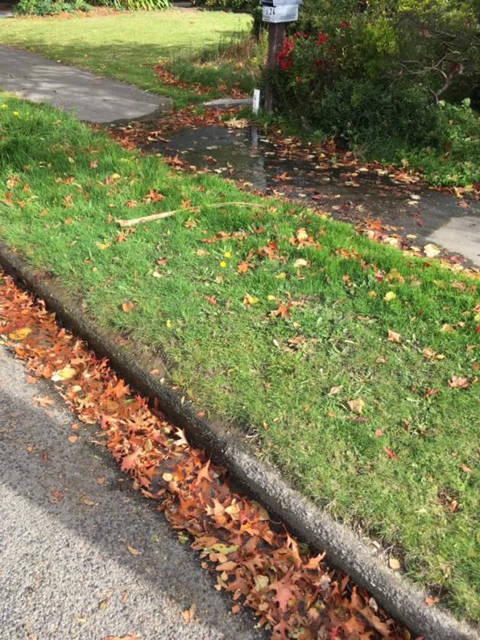 The photograph attached to this roading/streets report