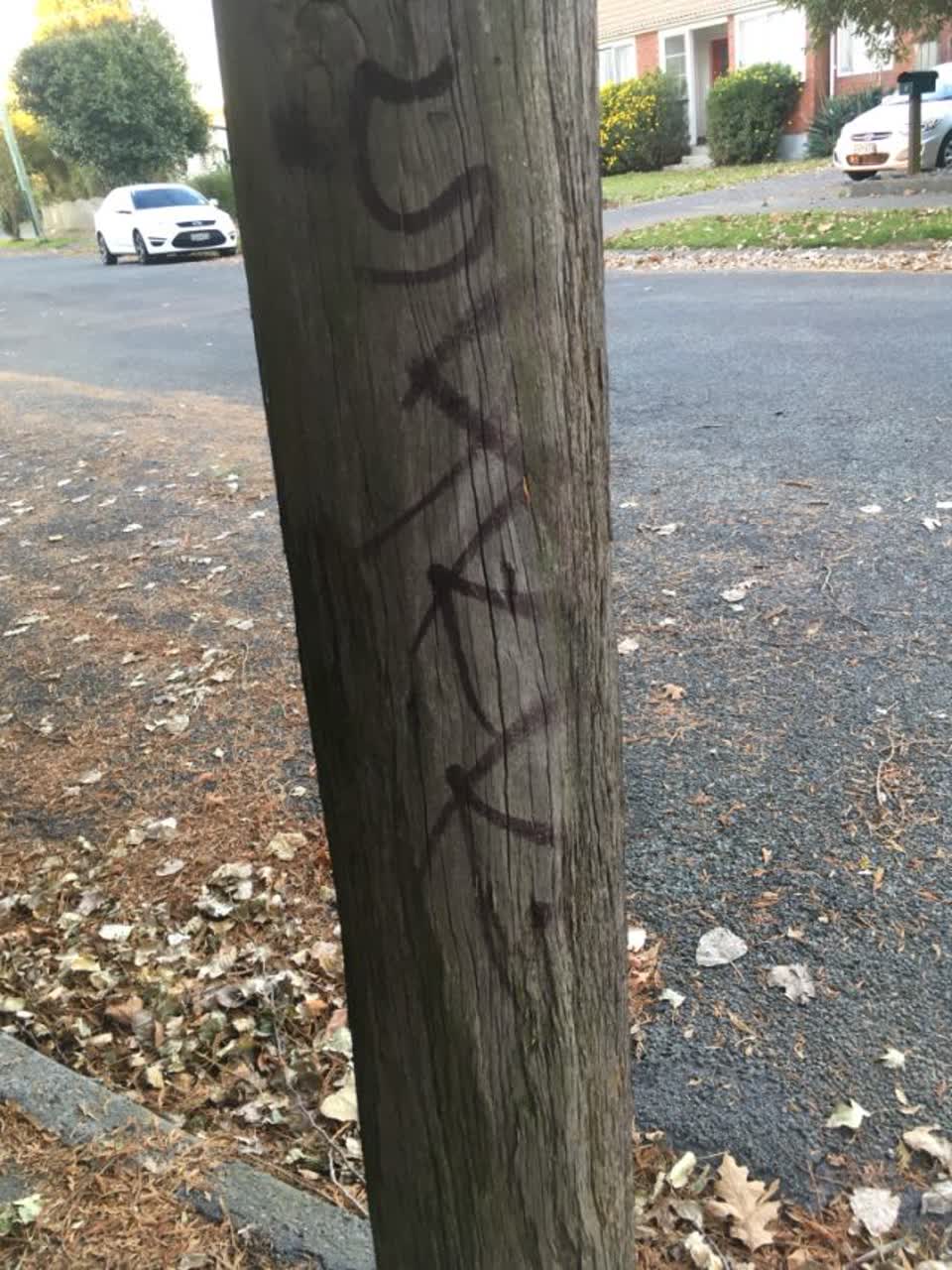 The photograph attached to this graffiti report