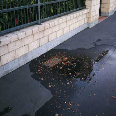 Water Supply, a report photo