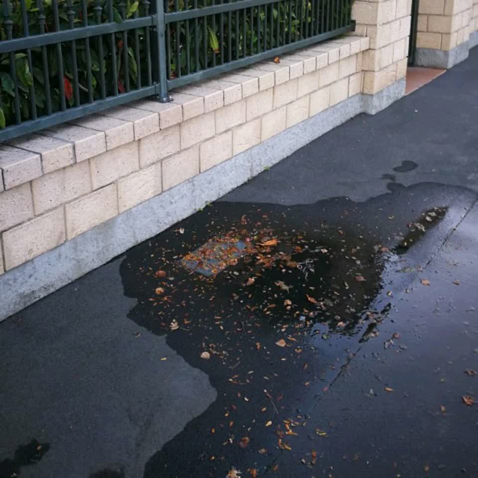 The photograph attached to this water supply report