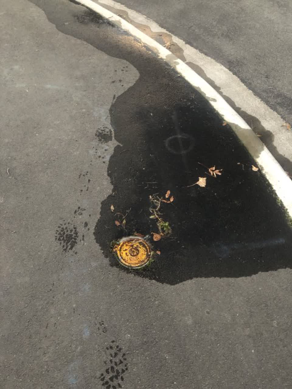 The photograph attached to this water supply report