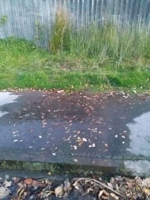 Wastewater/Stormwater, a report photo