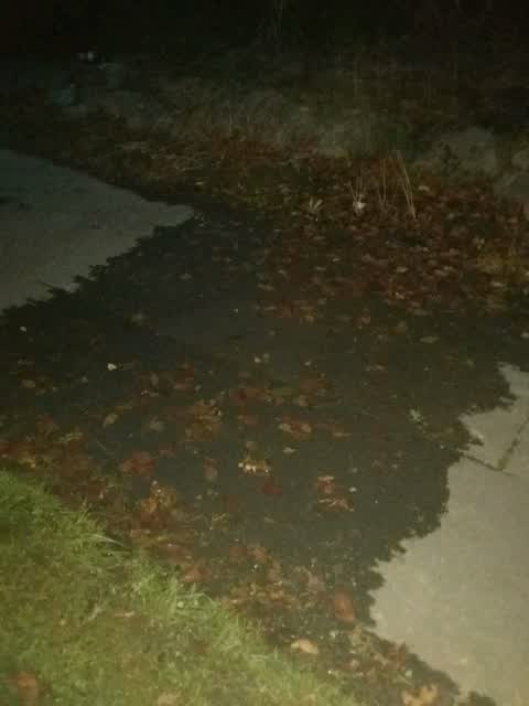 Wastewater/Stormwater, a report photo