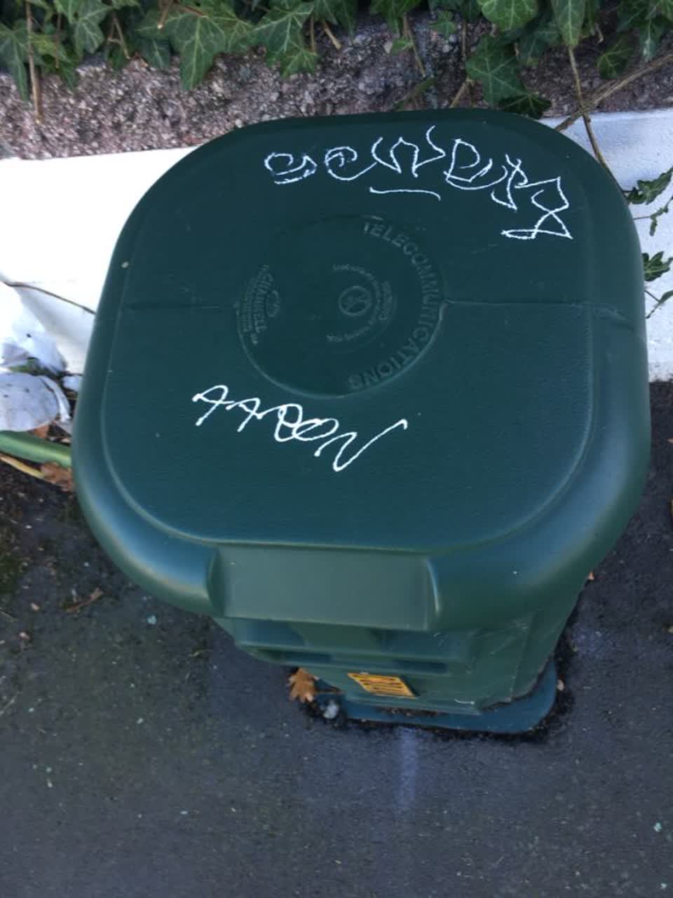 The photograph attached to this graffiti report
