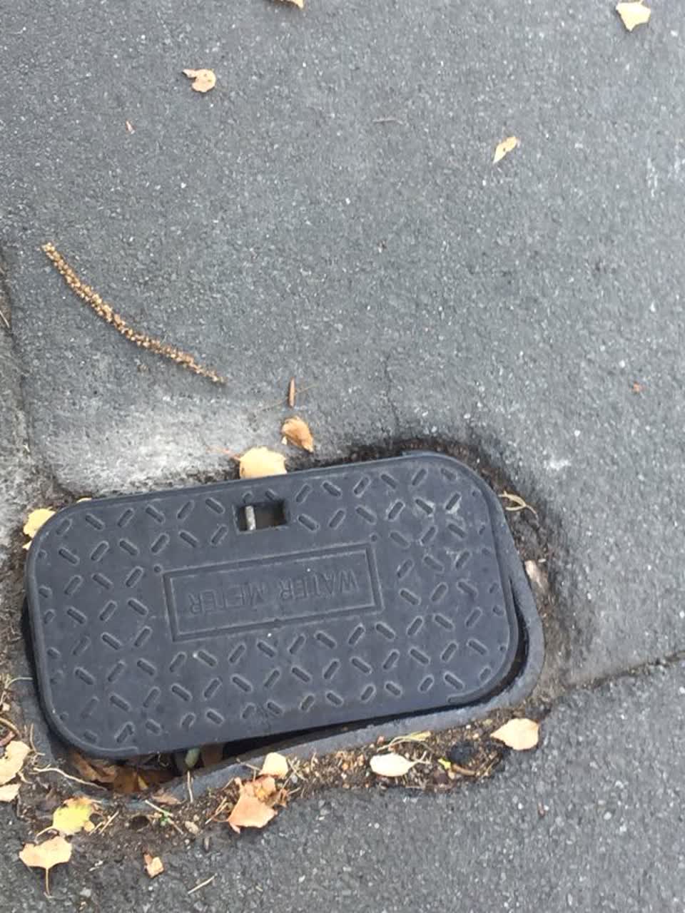 The photograph attached to this water supply report