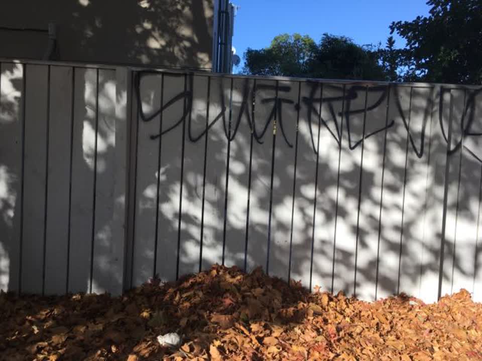 The photograph attached to this graffiti report