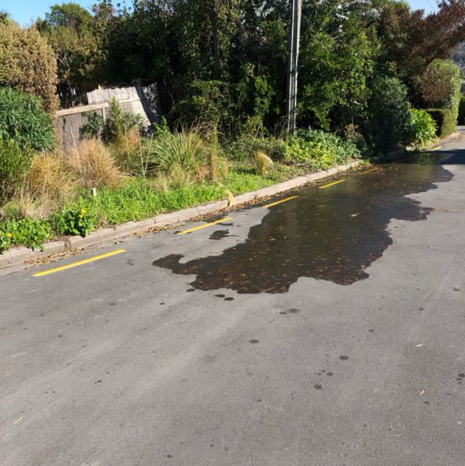 The photograph attached to this water supply report