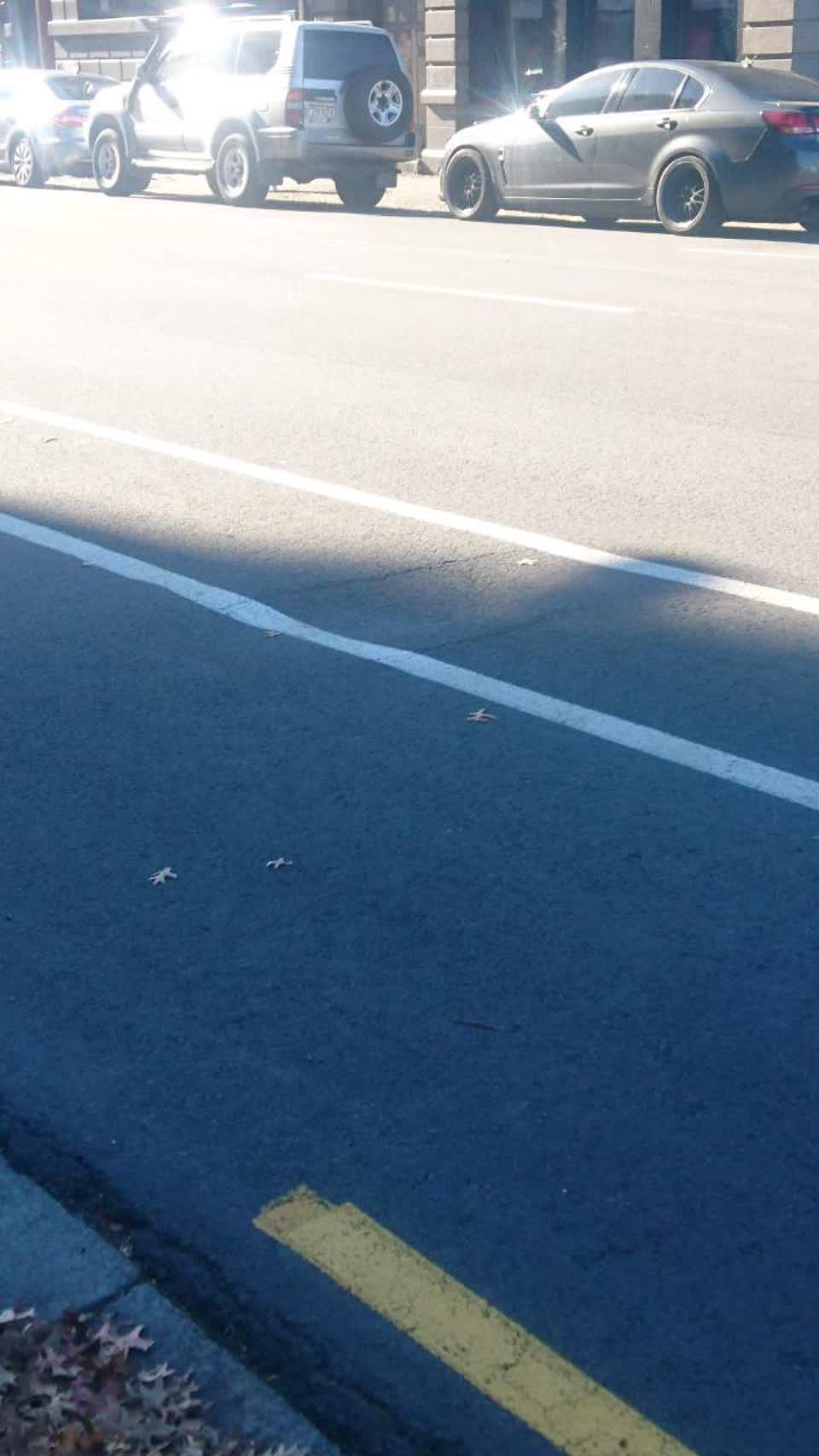 The photograph attached to this roading/streets report