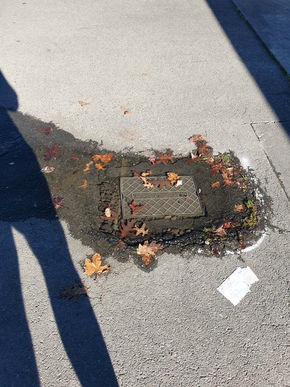 The photograph attached to this water supply report