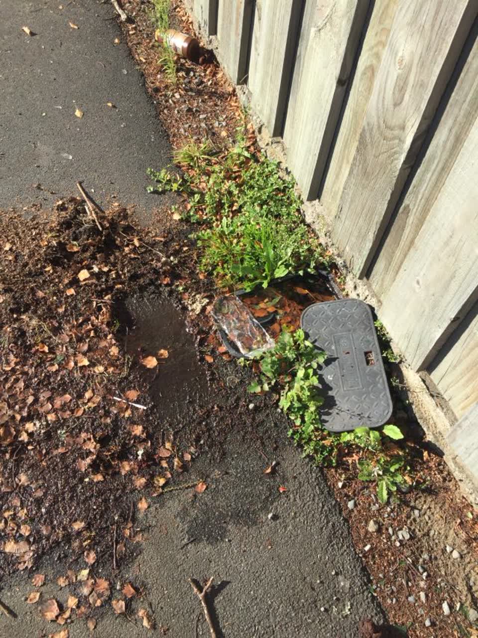 The photograph attached to this water supply report