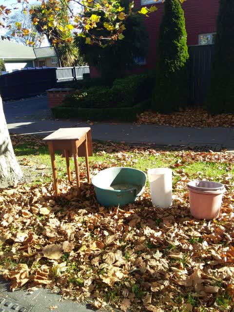 Rubbish/Recycling, a report photo
