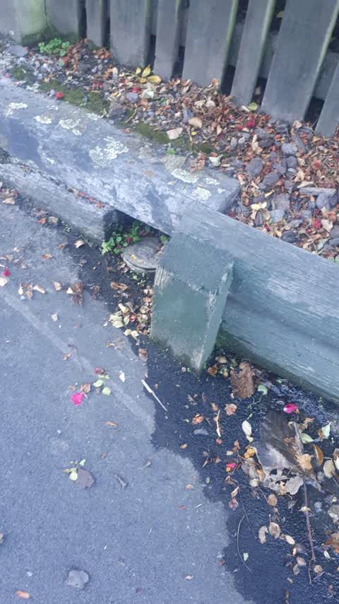 Wastewater/Stormwater, a report photo