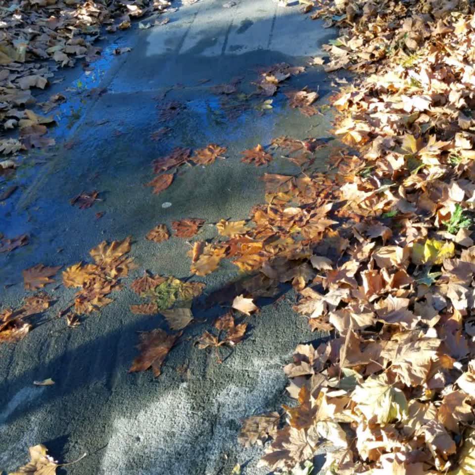 The photograph attached to this flooding report