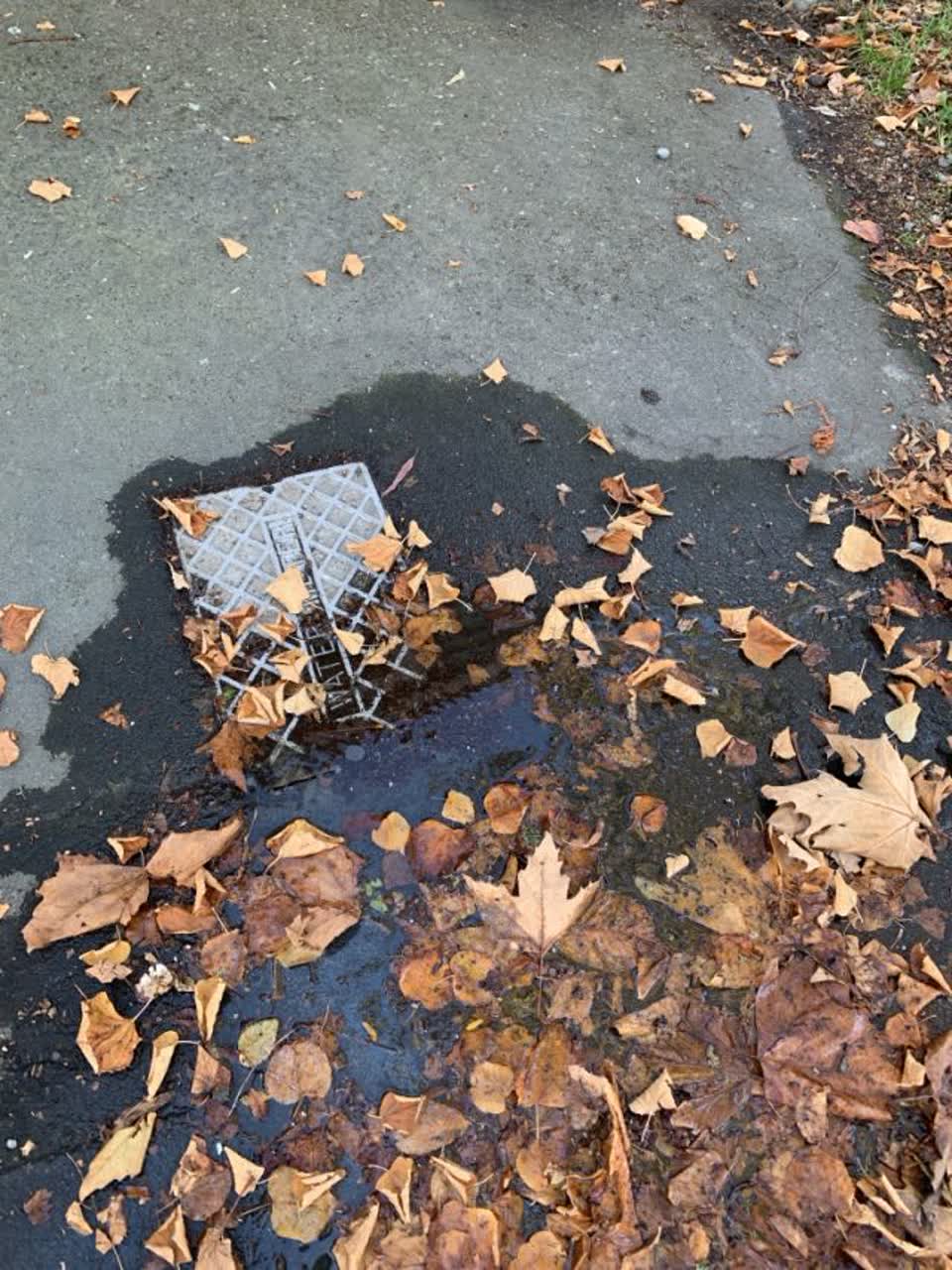 The photograph attached to this water supply report