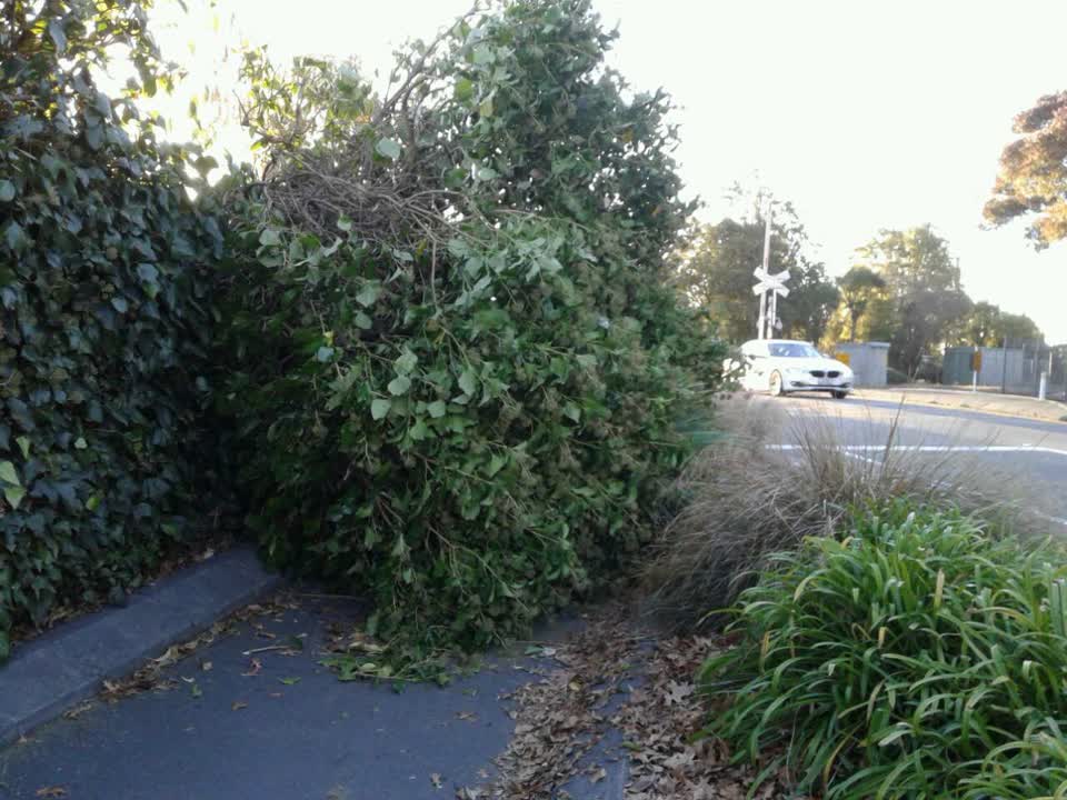 The photograph attached to this roading/streets report