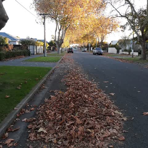 Roading/Streets, a report photo