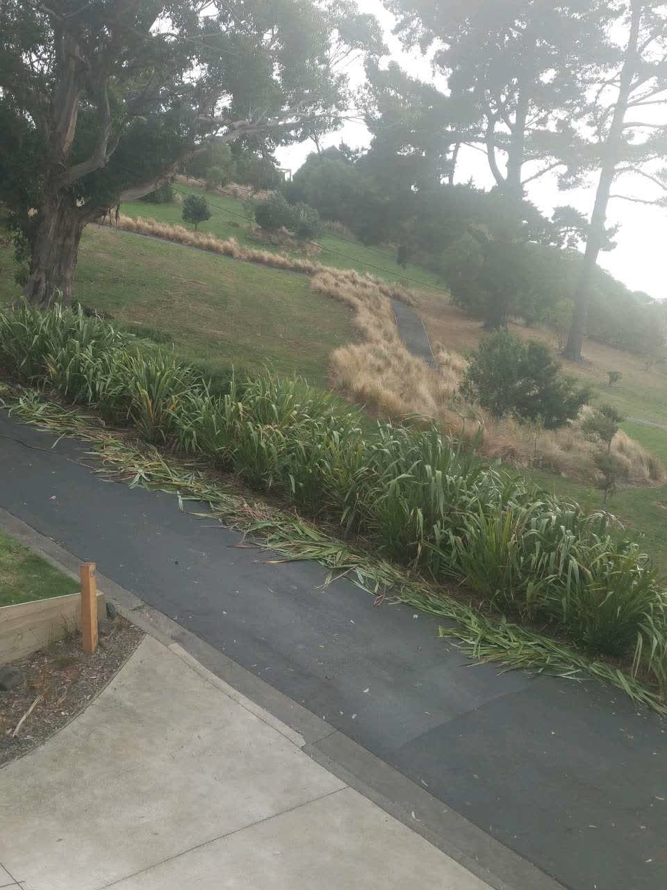 The photograph attached to this parks report