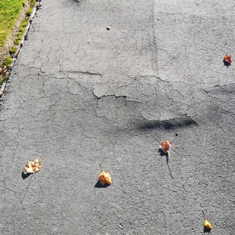 Roading/Streets, a report photo