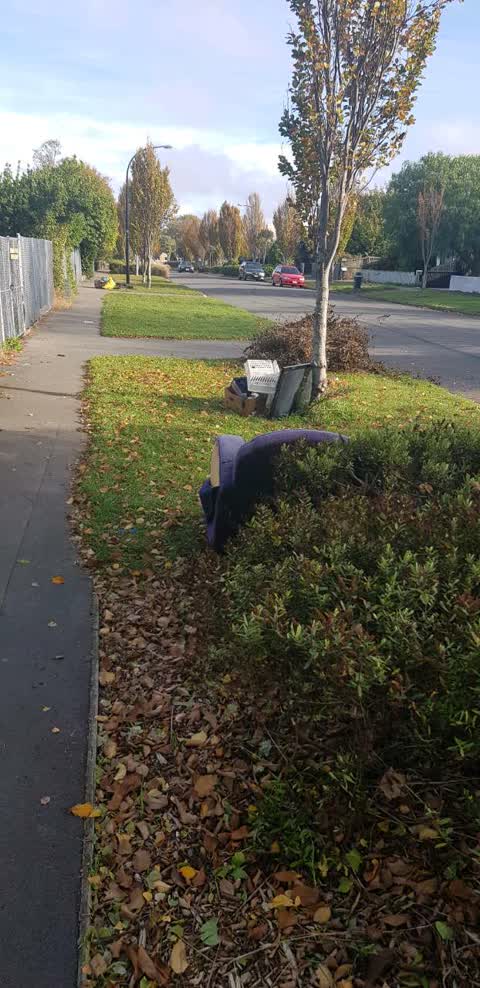 Rubbish/Recycling — a report photo